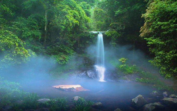 蜘蛛森林逃生